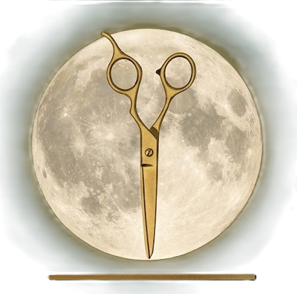 Logo El Somni de la Nina